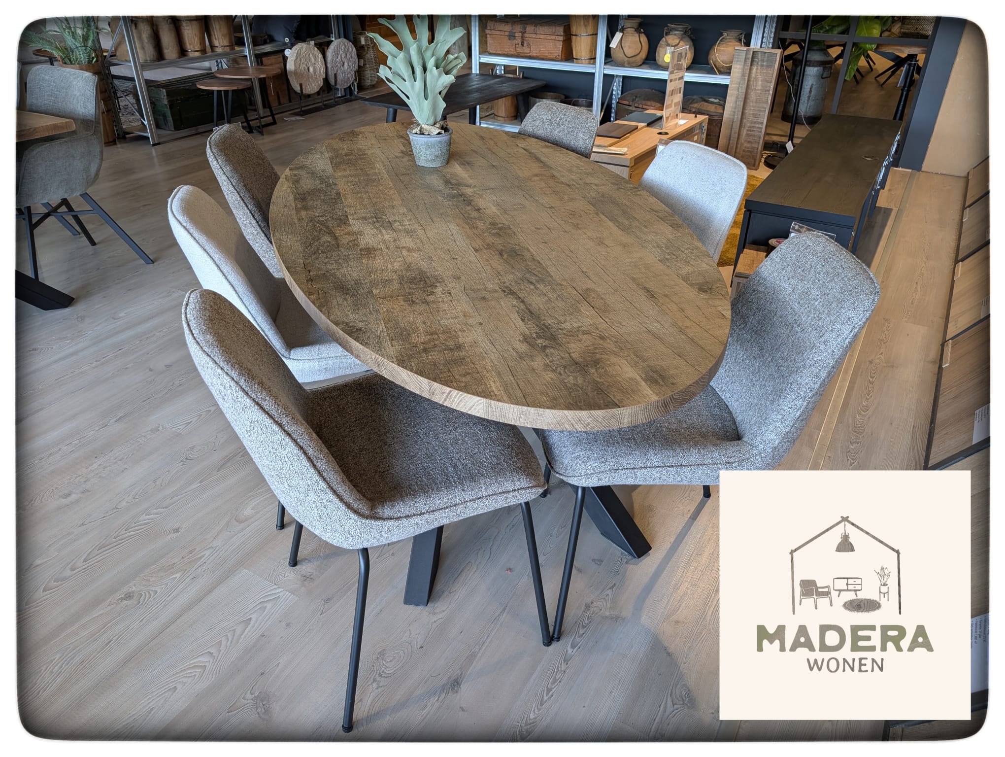 WhatsApp Image 2025-12-29 at 13.15.10