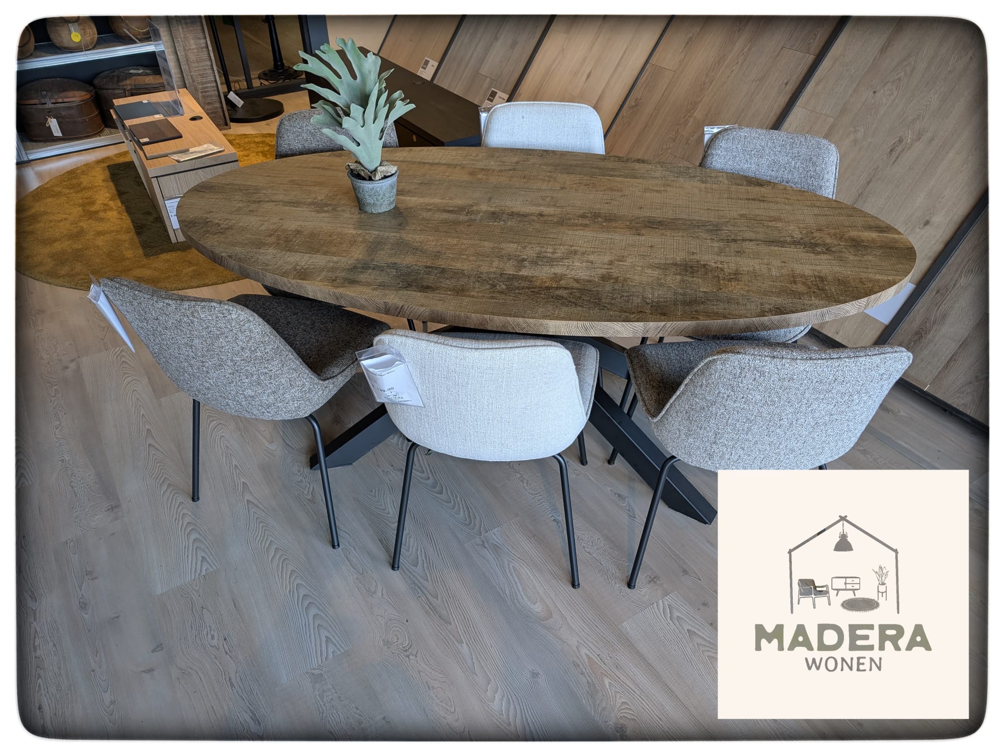 WhatsApp Image 2025-12-29 at 13.15.48