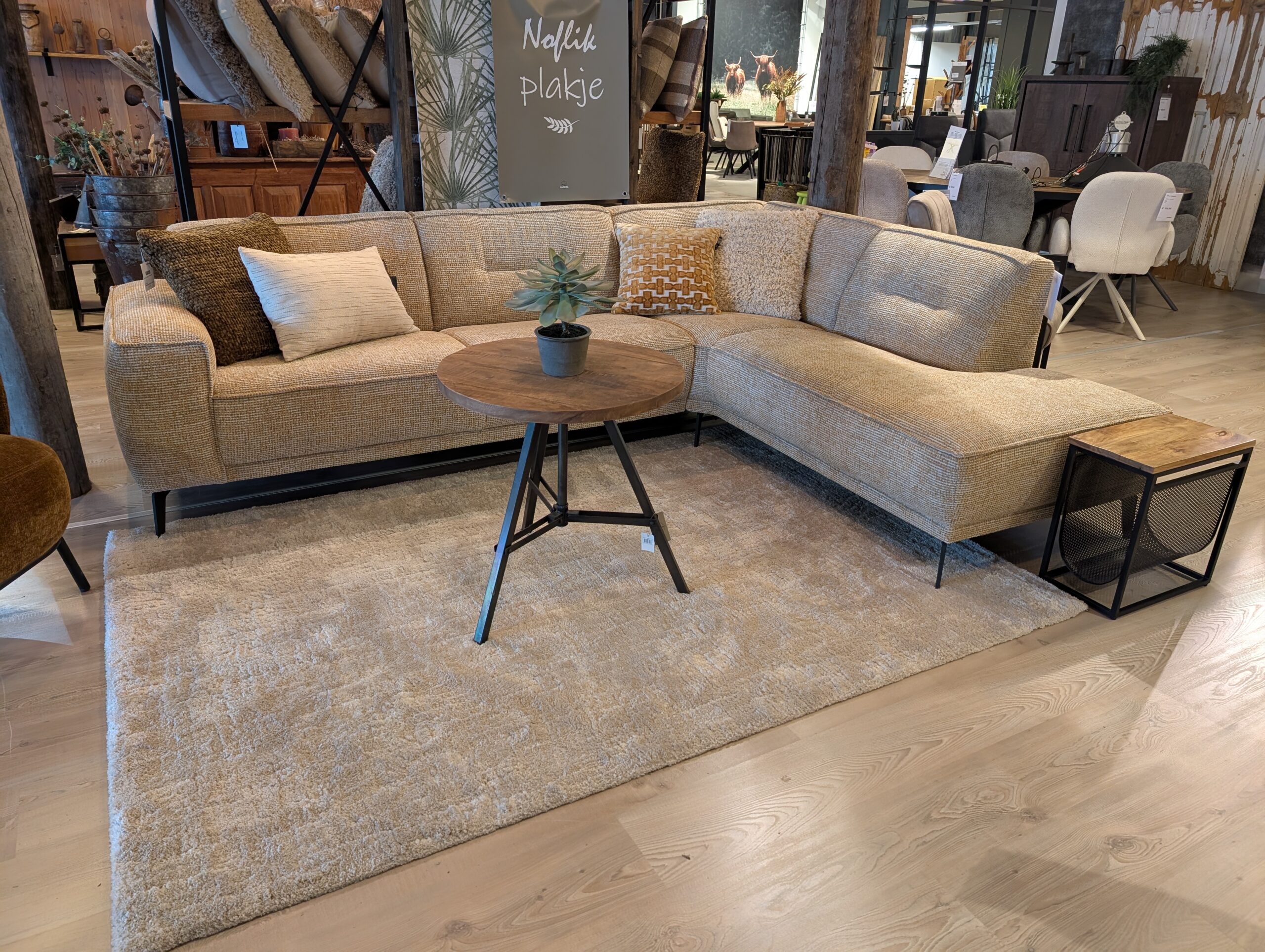 PXL_20251011_111643689 (1)